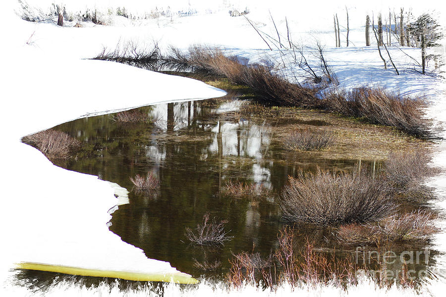 Snowy Meadow Photograph by Lori Mellen-Pagliaro
