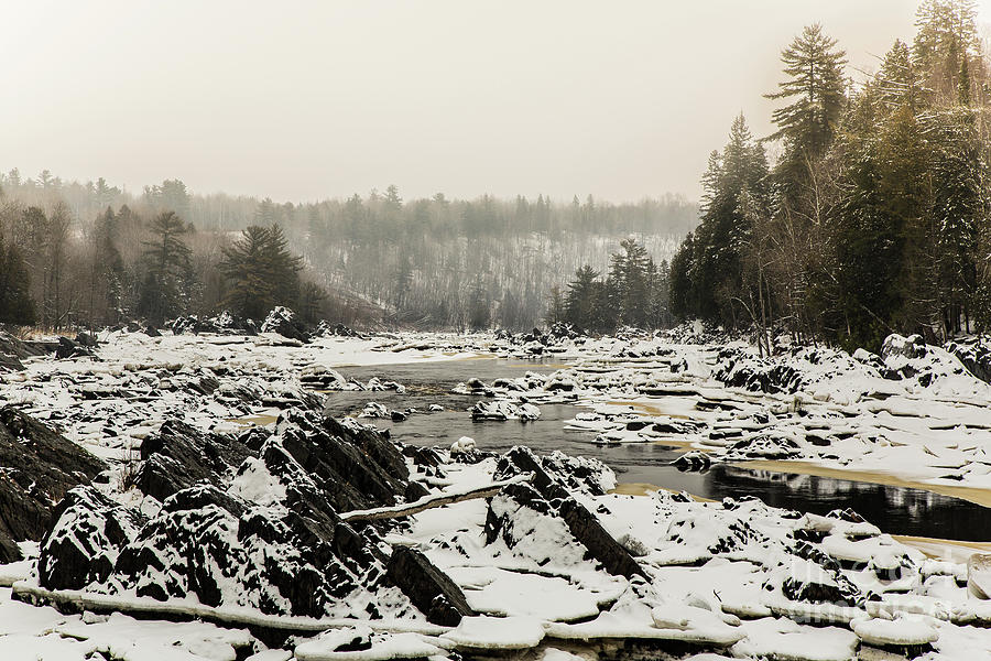 Snowy Morning at Jay Cooke Photograph by CJ Benson