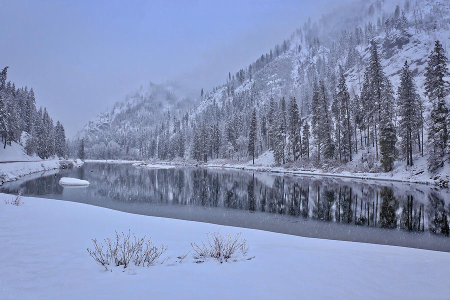 Snowy morning with reflections Photograph by Lynn Hopwood
