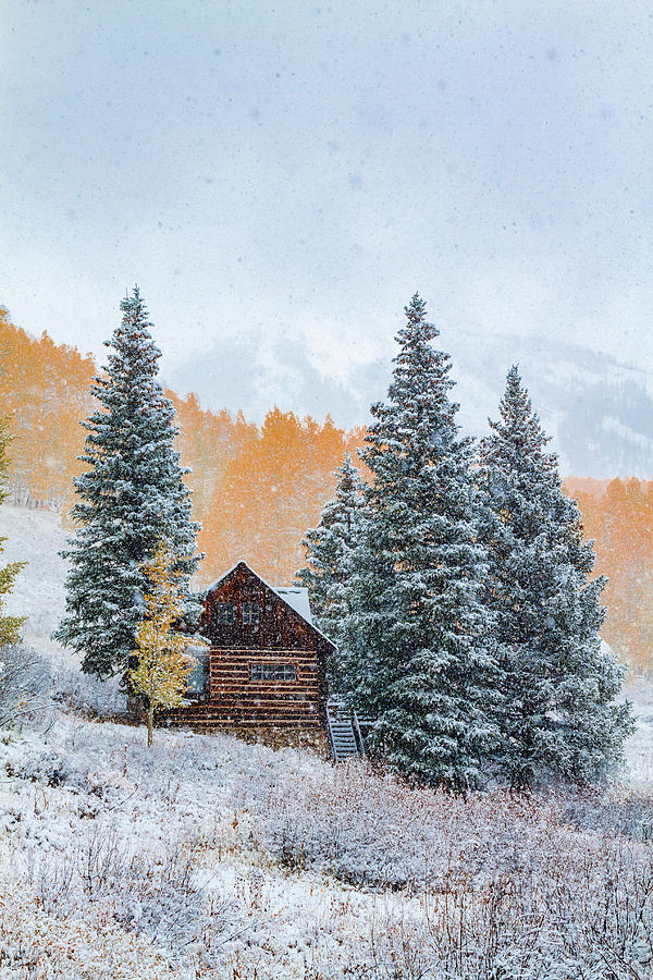 Snowy Mountain Cabin Photograph by Teri Virbickis