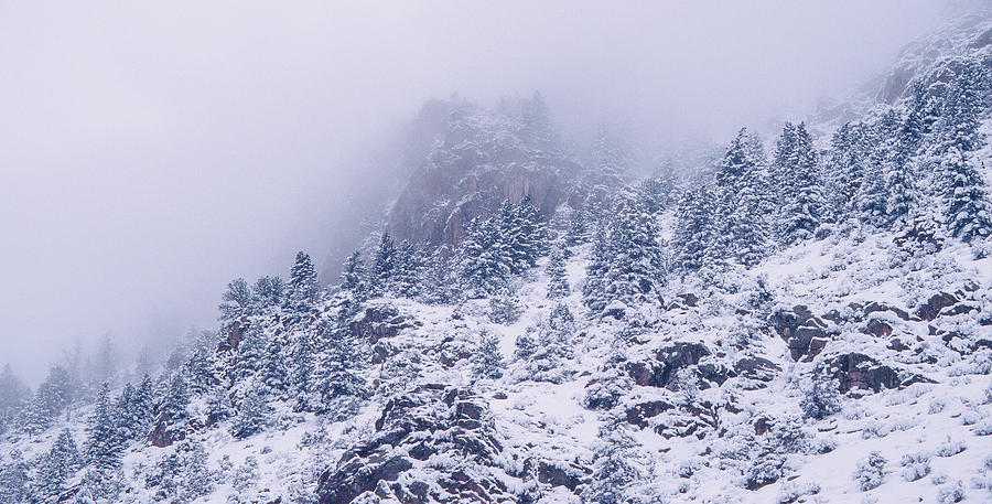 Snowy Mountain Side Photograph by David Drew