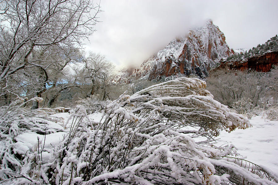 Snowy Mountains in Zion Photograph by Daniel Woodrum