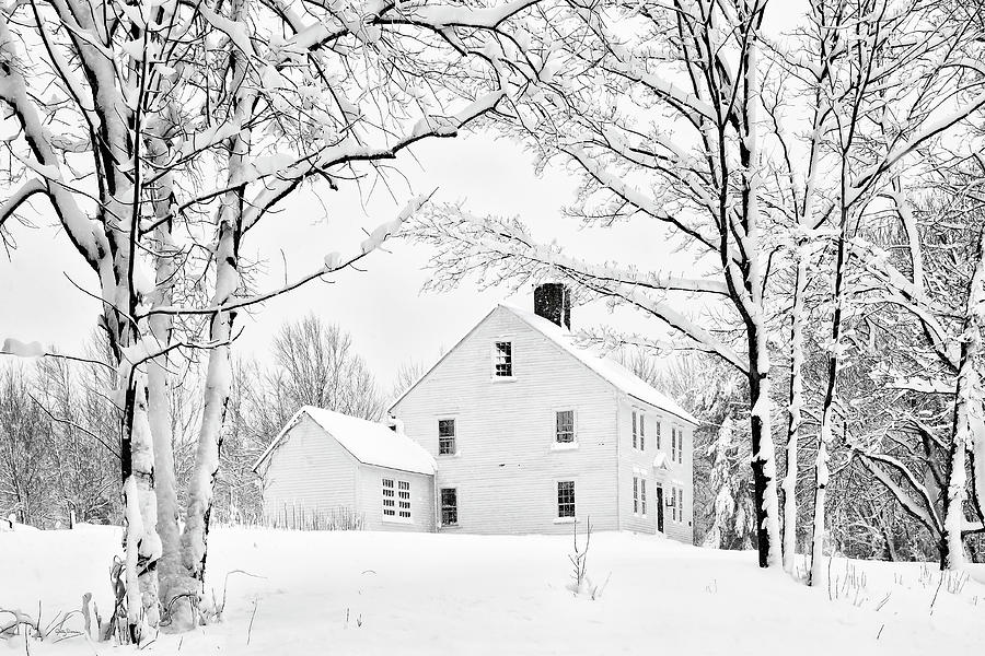 Tree Photograph - Snowy New England Homestead by Betty Denise
