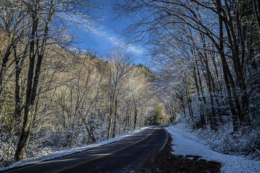 Snowy Newfound Gap Road Photograph by George Kenhan