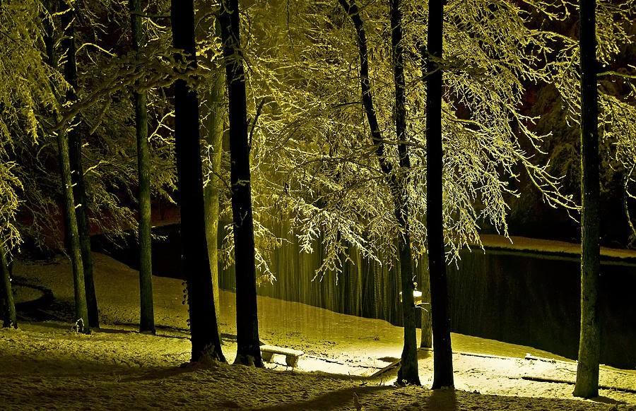 Snowy Nights Photograph by Michael Whitaker