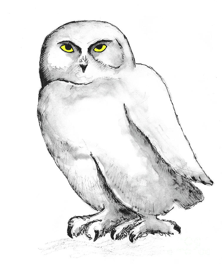 Snowy Owl 1 Mixed Media by Art MacKay