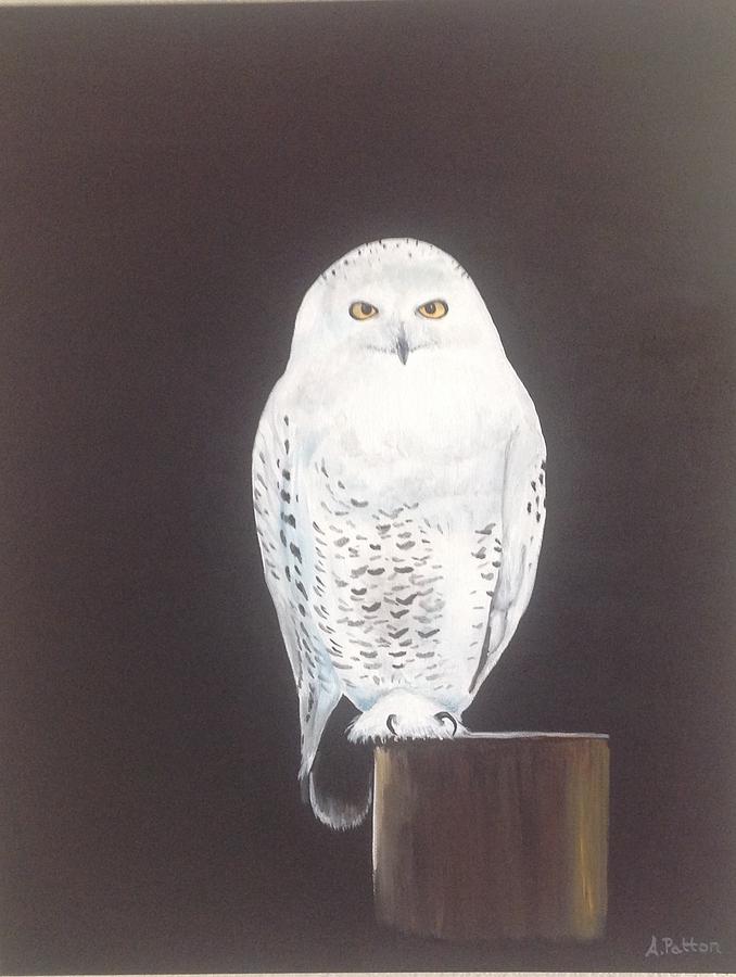 Snowy Owl At Night Painting By Andrea Patton   Snowy Owl At Night Andrea Patton 