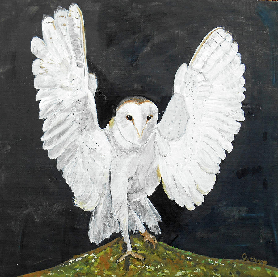 Snowy Owl Painting by Christine Lathrop