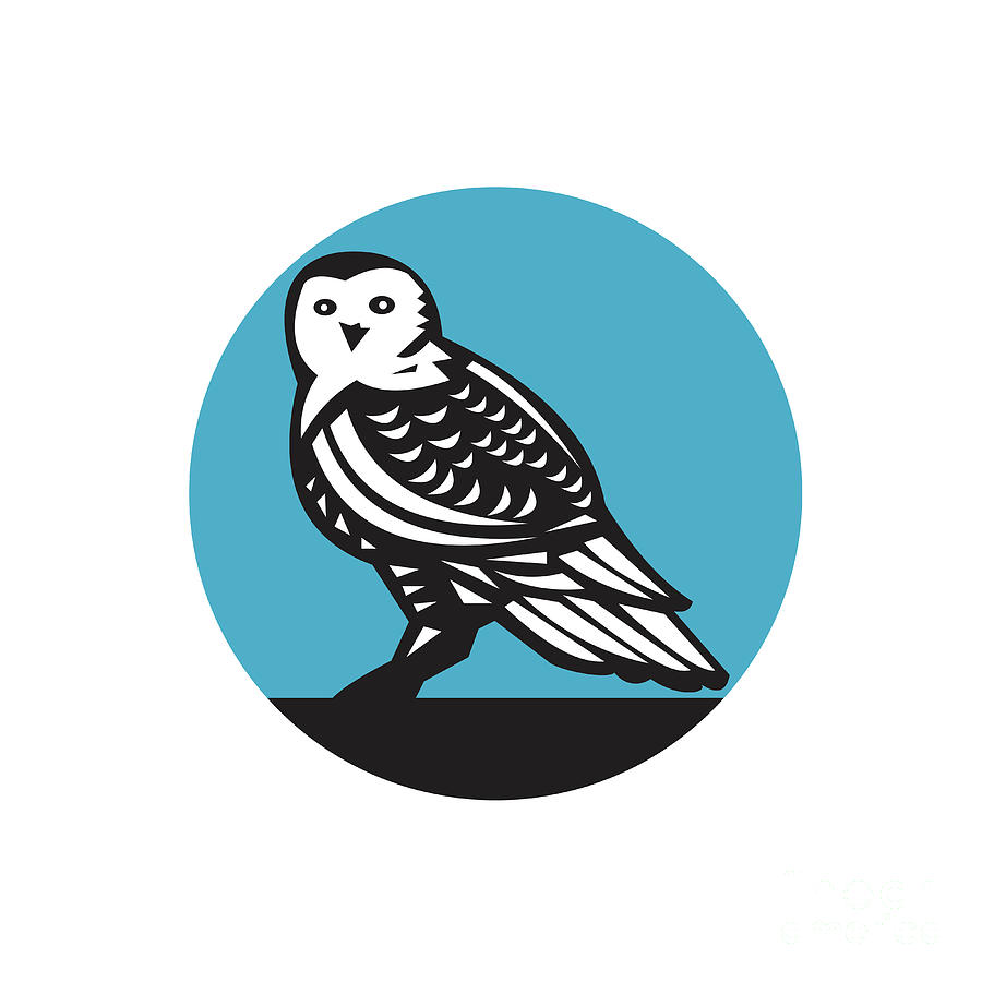 Owl Digital Art - Snowy Owl Circle Retro by Aloysius Patrimonio
