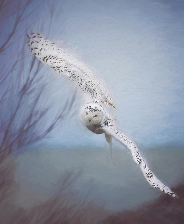 Wildlife Photograph - Snowy Owl In Flight Painting 2 by Carrie Ann Grippo-Pike Wildlife Photograph - Snowy Owl In Flight Painting 2 by Carrie Ann Grippo-Pike
