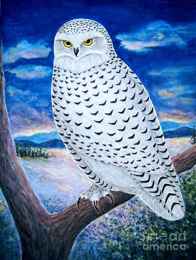 Snowy Owl Painting by Judith Monette