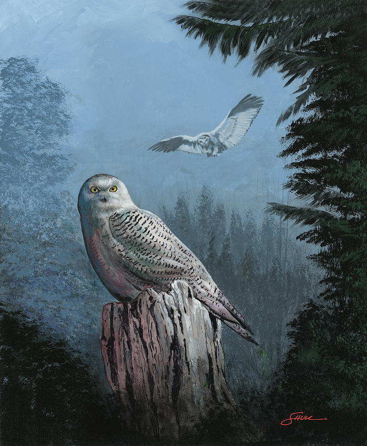 Snowy Owl Resting Painting by Harold Shull