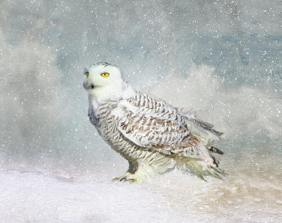 Snowy Owl totebag by Karen Lynch Snowy Owl totebag by Karen Lynch