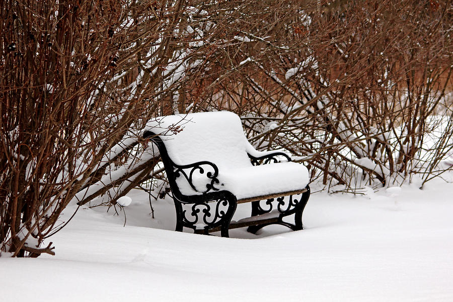 Snowy Park Bench Photograph by Debbie Oppermann