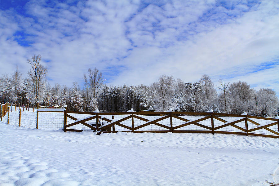 Snowy Pasture Photograph by Karen Ruhl