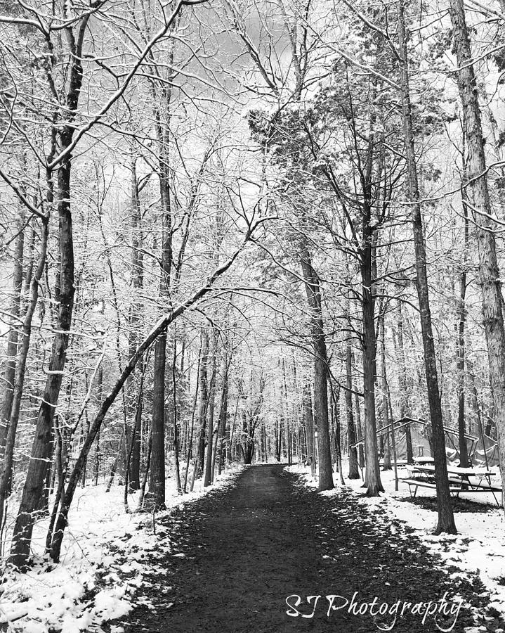 Snowy Path Photograph By Savannah Ashby - Fine Art America