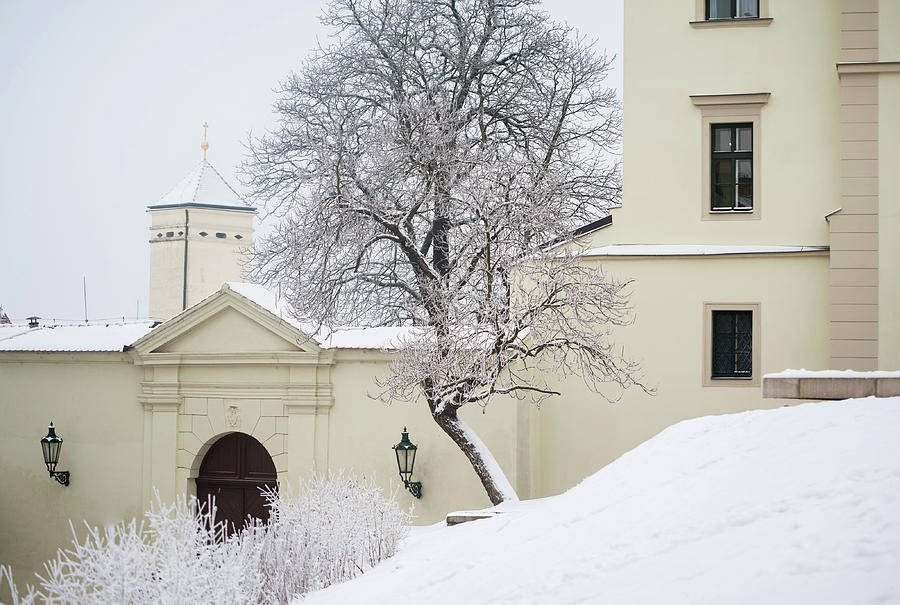 Snowy Petrov Street in Brno Photograph by Jenny Rainbow