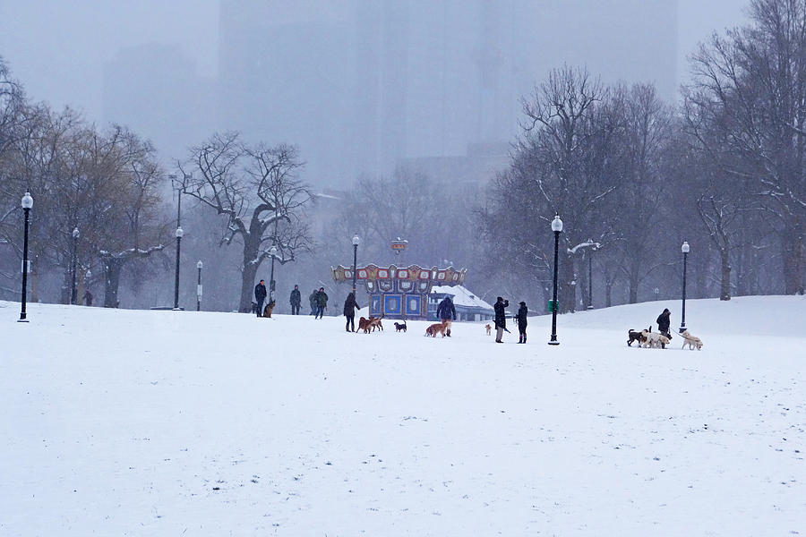 Boston Photograph - Snowy Playtime Boston Common Boston MA by Toby McGuire