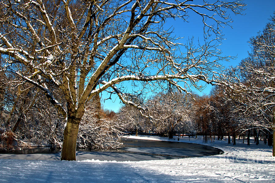 Snowy Pond Photograph by Baggieoldboy