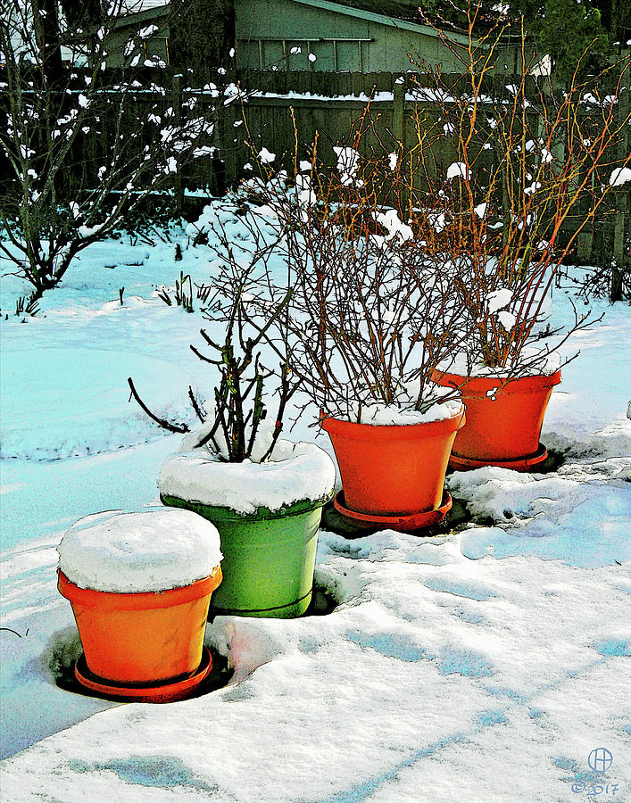 Snowy Pots Digital Art by Gary Olsen-Hasek