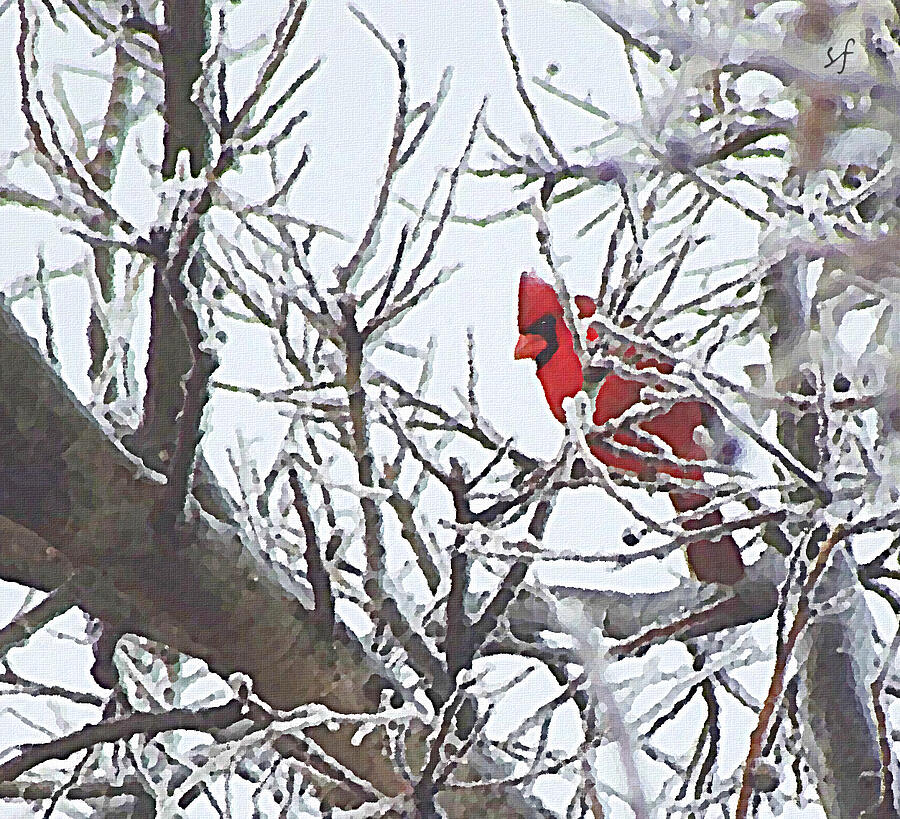 Snowy Red Bird a Cardinal in Winter Mixed Media by Shelli Fitzpatrick