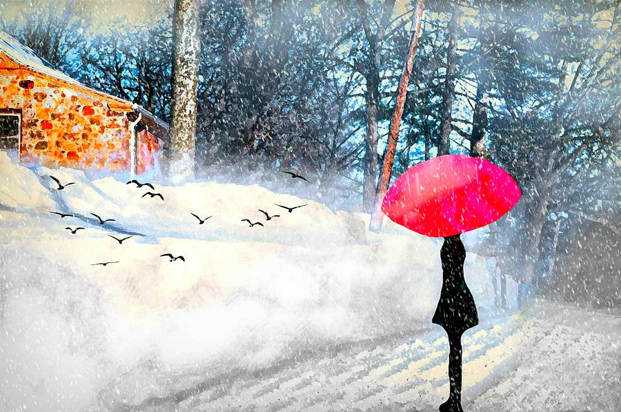 Snowy Red Umbrella Photograph by Diana Angstadt