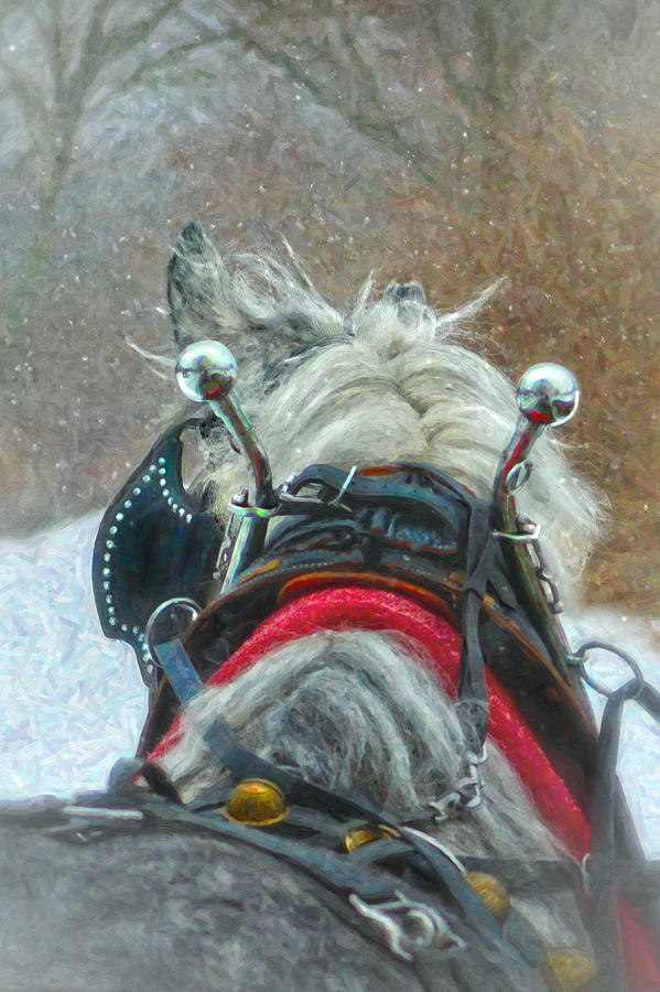 Snowy Ride Digital Art by Posey Clements