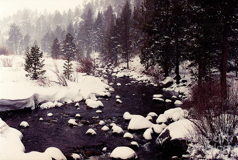 Snowy River Photograph by Lori Mellen-Pagliaro