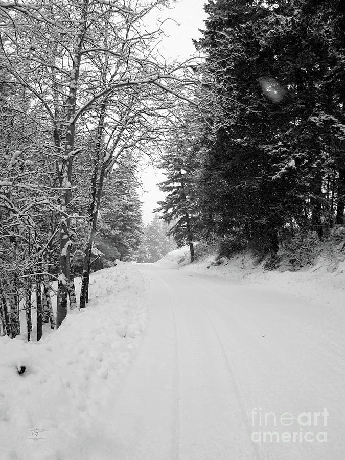 Winter Photograph - Snowy Road by Katrina Perekrestenko Winter Photograph - Snowy Road by Katrina Perekrestenko