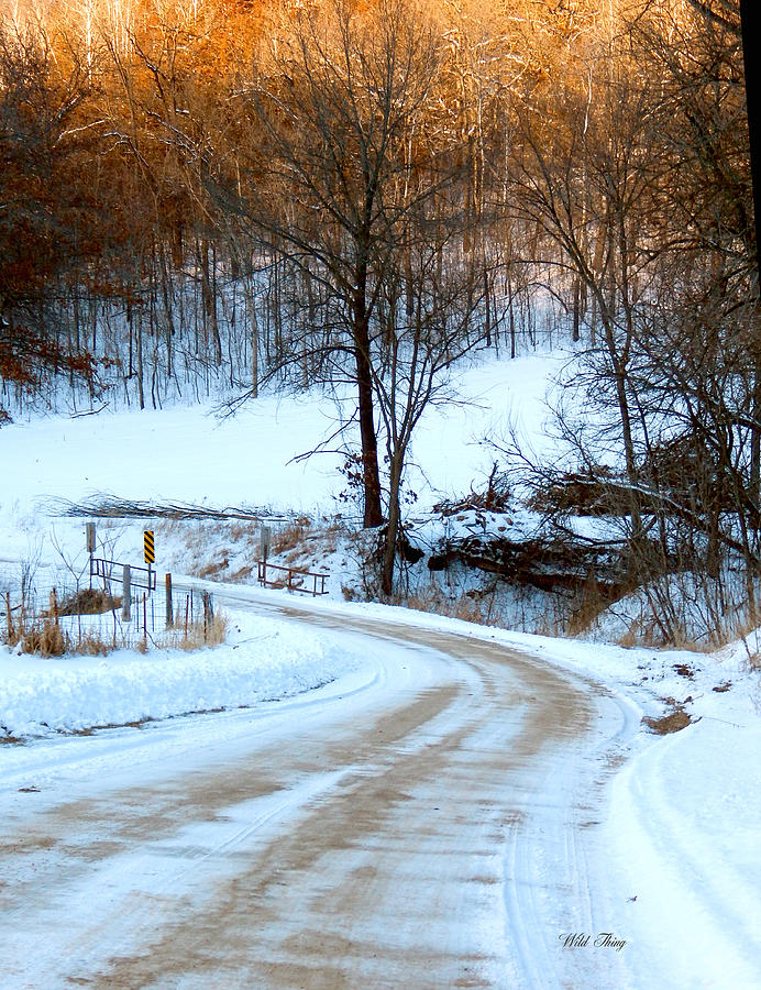 Snowy Road Photograph by Wild Thing