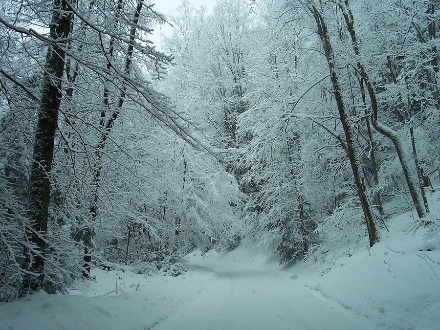 Snowy Road Photograph by William Johnson - Fine Art America