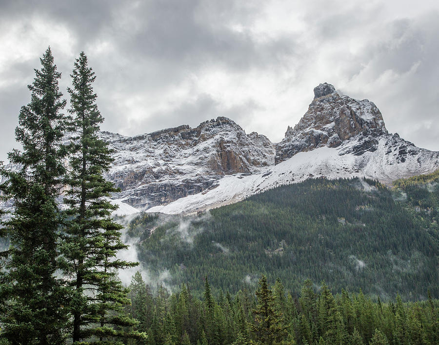 Snowy Rocky Mountain Photograph By Paula Fink