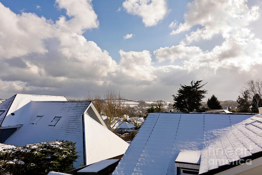 Snowy Rooftops Photograph by Terri Waters