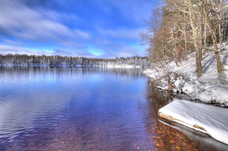 Snowy Shore of West Lake Photograph by David Patterson