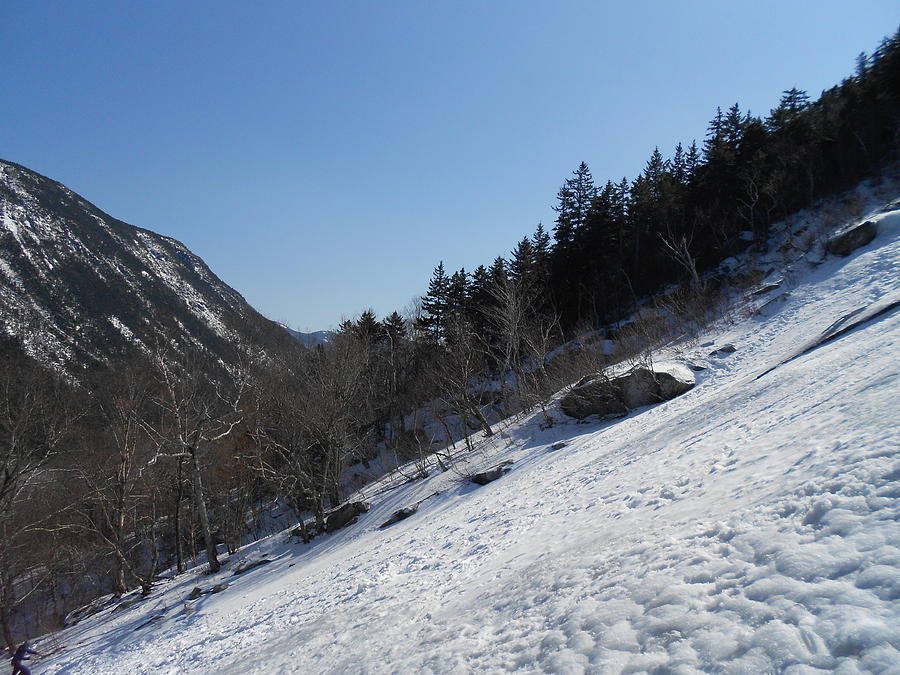 Snowy Slope in Crawford Notch Photograph by Matthew Beard