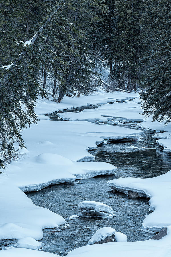 Black Photograph - Snowy Stream by Bud Bartnik Black Photograph - Snowy Stream by Bud Bartnik