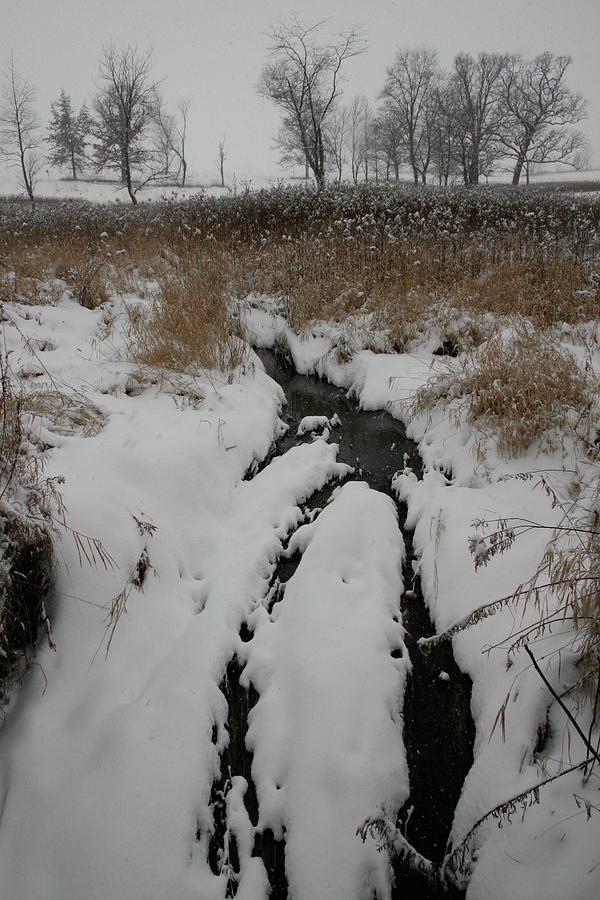 Snowy Stream Photograph by Dylan Punke
