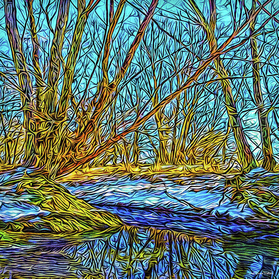 Snowy Stream Reflections Digital Art by Joel Bruce Wallach