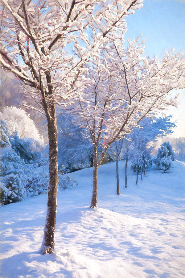 Snowy Stroll Painting by Dan Carmichael