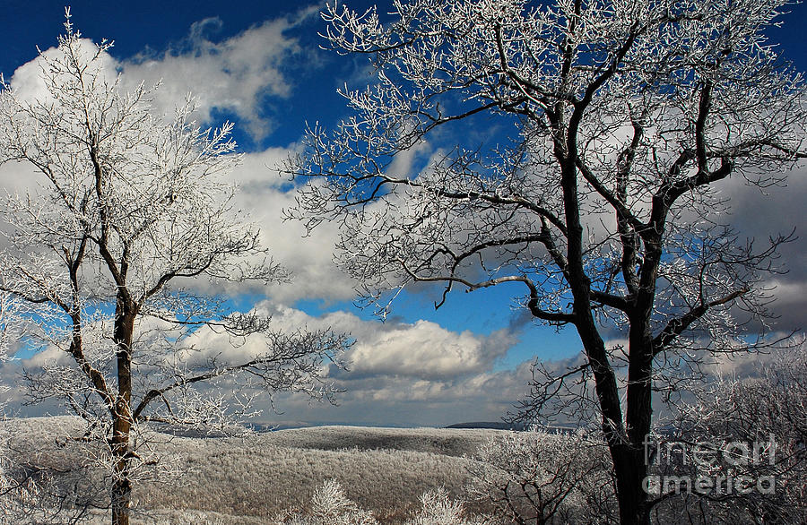 Winter Photograph - Snowy Sunday by Lois Bryan
