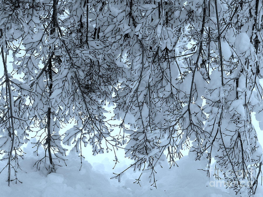 Impressionism Photograph - New England Snow by Rick Maxwell