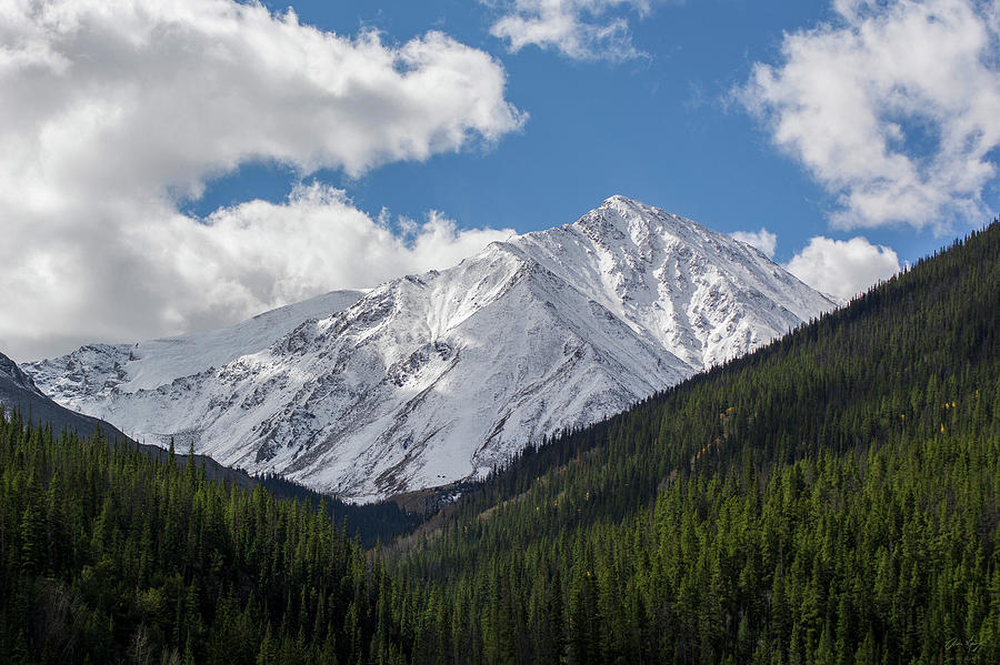 Mountain Photograph - Snowy Torreys Peak by Aaron Spong