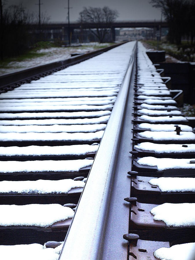 Snowy Tracks Photograph by James Granberry