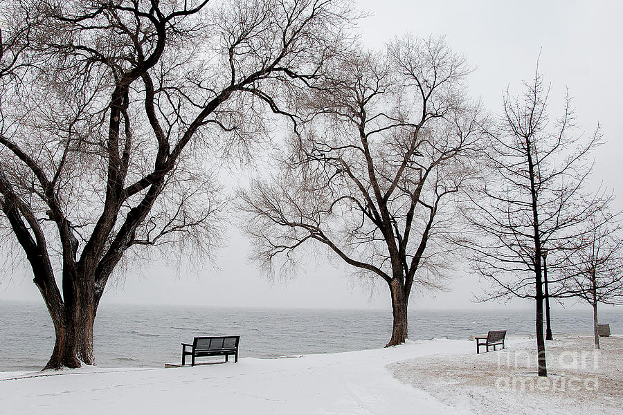 Snowy Trail by David Emond Snowy Trail by David Emond