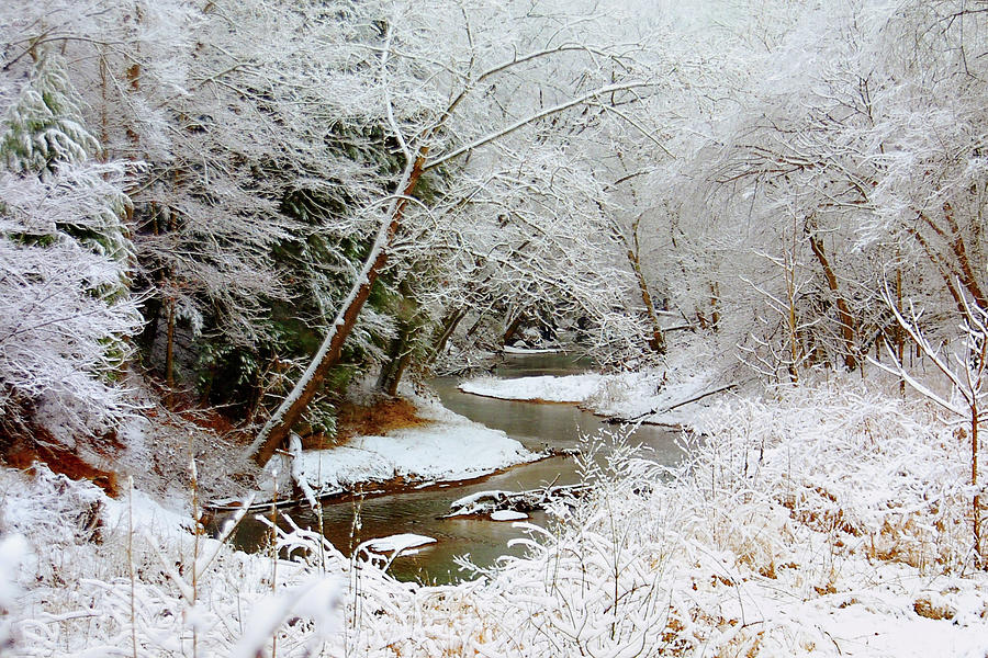 Snowy Tranquility Photograph by Randall Evans
