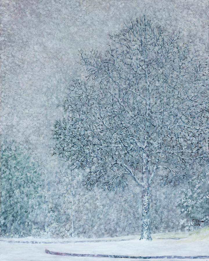 Winter Painting - Snowy Tree by Paul Illian