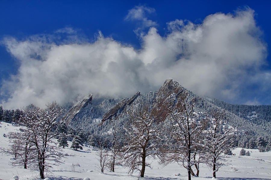 Snowy Trees And The Flatirons Boulder Colorado Photograph by James BO Insogna
