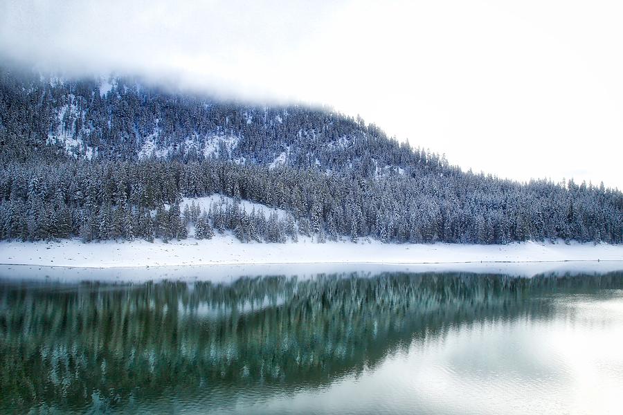 Snowy trees on the lake Photograph by Lynn Hopwood