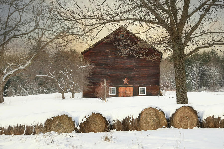 Snowy Vermont Photograph by Lori Deiter