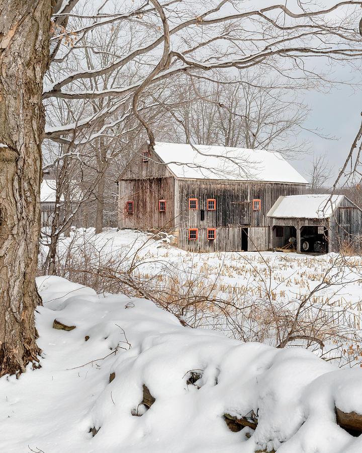 Snowy Vintage New England Barn Photograph by Bill Wakeley